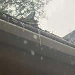 LeafGuard gutters fail during moderate rains and collect debris that is impossible to remove